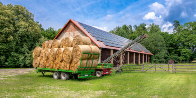 Agrivoltaïsme : une solution pour deux problèmes